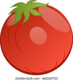 Vector drawing of tomato