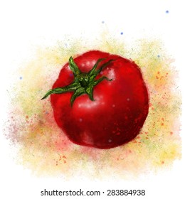 vector drawing the tomato drawn with paints