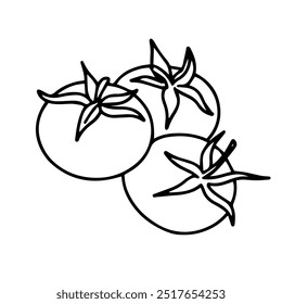 Vetor. Desenho de tomates. Três tomates. Rabiscar em um fundo branco. Elementos de design