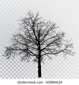 vector drawing of the transparent silhouette naked winter tree