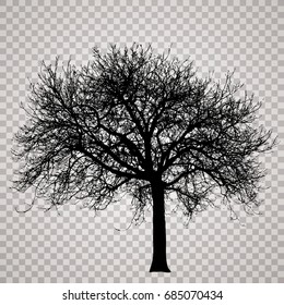 dibujo vectorial de la silueta transparente árbol de invierno desnudo