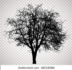 vector drawing of the transparent silhouette naked winter tree