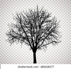 vector drawing of the transparent silhouette naked winter tree