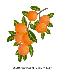 vector drawing tree branch with fruits and green leaves isolated at white background, hand drawn illustration