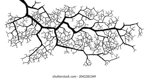 Vector drawing of a tree branch without leaves on a white background
