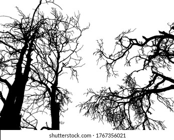 dibujo vectorial del árbol - vector detallado 