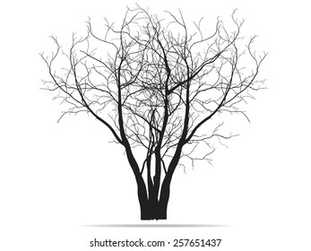 vector drawing of the tree - detailed vector