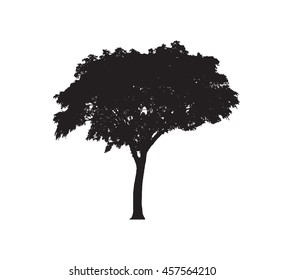 vector drawing of the tree - detailed vector