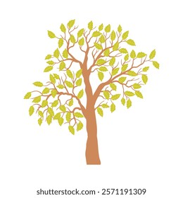 vector drawing tree with green leaves isolated at white background, hand drawn illustration