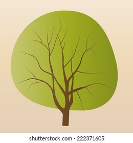 Vector drawing of a tree with a huge crown