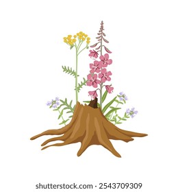 vector drawing tree stump, flowering wild plant with green leaves and flowers isolated at white background, forest compostion, hand drawn illustration