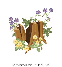 vector drawing tree stump, flowering wild plant with green leaves and flowers isolated at white background, forest compostion, hand drawn illustration