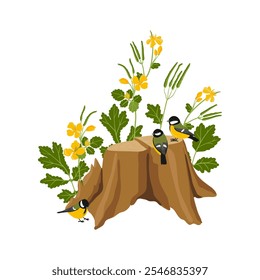 vetor desenho coto de árvore , plantas da maior celandina, com flores amarelas e aves de peitos isoladas no fundo branco, desenho à mão ilustração