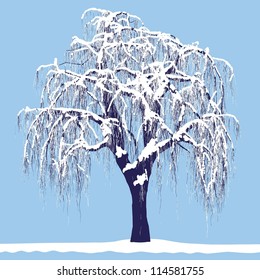 vector drawing of the tree in winter - detailed vector