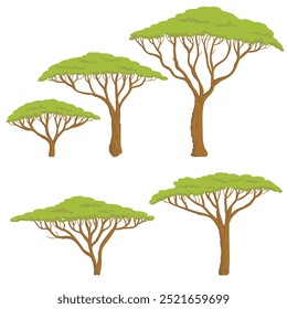 desenho vetorial árvores, guarda-chuva espinho acácias com folhagem verde isolado no fundo branco, desenhado à mão ilustração