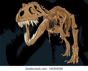 Vector drawing of a T-Rex Skeleton/ T-Rex Skeleton/ Easy to edit layers, drawn anatomically correct based on a Tyrannosaur skeleton, Easy to edit groups no gradients or meshes or blends used.  