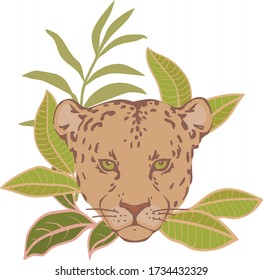 vector drawing of a tropical animal
