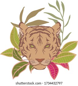 vector drawing of a tropical animal
