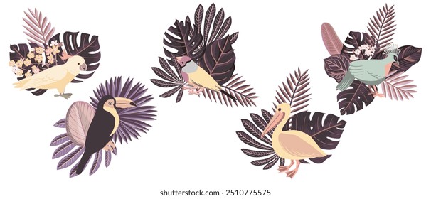 desenho vetorial de aves tropicais e folhas de palmeira , elementos de design naturais, desenho à mão