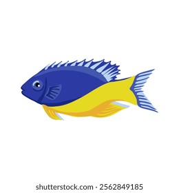 vector drawing tropical fish, azure damselfish, half-blue demoiselle, Chrysiptera hemicyanea, isolated at white background, hand drawn illustration