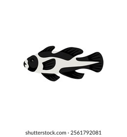 vector drawing tropical fish, black and white snapper,Macolor niger isolated at white background, hand drawn illustration