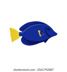 vector drawing tropical fish, purple tang , yellowtail tang , Zebrasoma xanthurum isolated at white background, hand drawn illustration