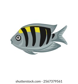 vector drawing tropical fish, sergeant-major, isolated at white background, hand drawn illustration