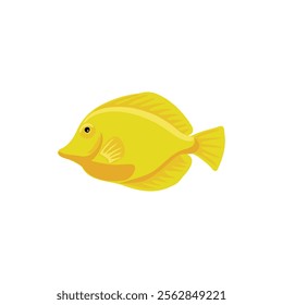 vector drawing tropical fish, yellow tang, lemon sailfin, somber surgeonfish, Zebrasoma flavescens isolated at white background, hand drawn illustration