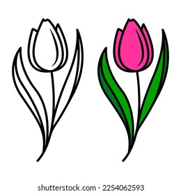 dibujo vectorial de las flores tulipán, elemento floral aislado en estilo doodle.