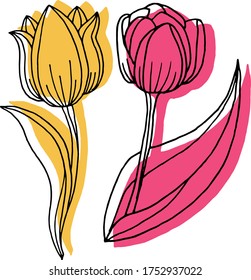 Dibujo vectorial de las flores de tulipán. Naturaleza. Esbozo, ilustración. decorativo