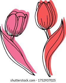 Vector drawing of tulip flowers. Nature. Sketch, illustration. decorative