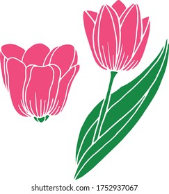 Vector drawing of tulip flowers. Nature. Sketch, illustration. decorative