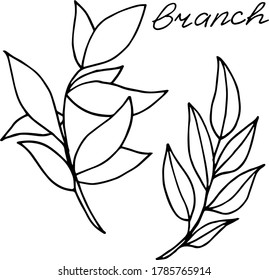 Dibujo vectorial de ramas. Sucursal. Naturaleza. Esbozo, ilustración. decorativo
