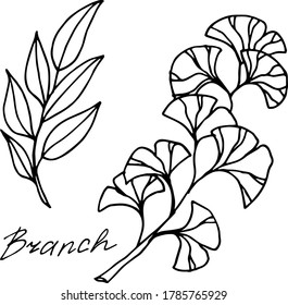 Dibujo vectorial de ramas. Sucursal. Naturaleza. Esbozo, ilustración. decorativo
