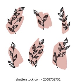 Vector drawing of twigs with leaves	
