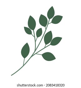Vector drawing of twigs with leaves isolated on white background. Minimalistic twig in a flat style. Drawing worksheet for web design and typography, logos
