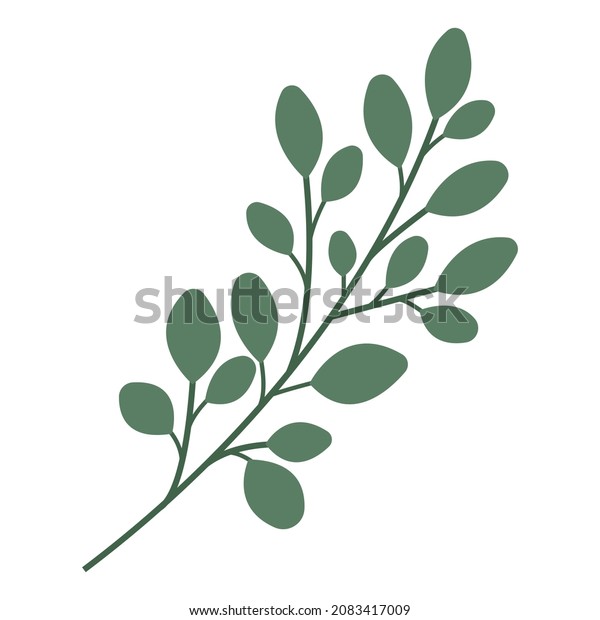 Vector drawing of twigs with leaves\
isolated on white background. Minimalistic twig in a flat style.\
Drawing worksheet for web design and typography,\
logos