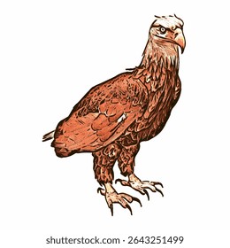 Vector drawing of two bald eagles perched, showing their feathers and sharp eyes.