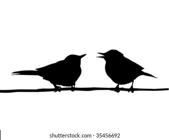 vector drawing two birds sitting on branch