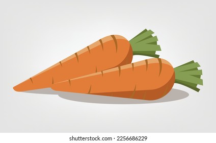 vector drawing of two carrots
