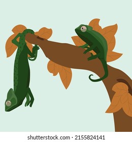 Vector drawing of two chameleons on a branch. The chameleon is hanging on a branch. Green chameleons. Lizard.