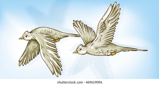 Vector drawing of Two / Flying Birds / Easy to edit layers and groups, Mesh and transparencies only used in background layer. Simple to select each bird individually