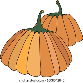 
Vector drawing of two pumpkins. Autumn orange vegetables.