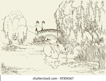 Vector drawing. Two swans in the park lake under the willows and surrounded by lilies
