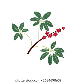 Vektorgrafik, Regenschirmbaumzweig mit Beeren und grünen Blättern einzeln auf weißem Hintergrund, handgezeichnete Illustration