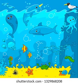 Vector drawing of the underwater world