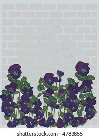 Vector drawing of an urban pansy garden.No Gradients