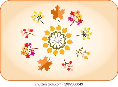 vector drawing of various kinds of flowers 