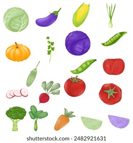 Vector drawing of various types of vegetables on the same page.