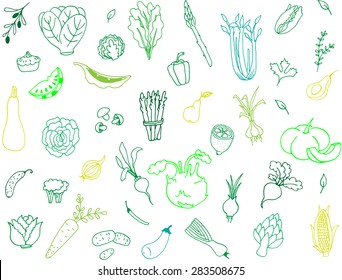 Vector drawing vegetables set